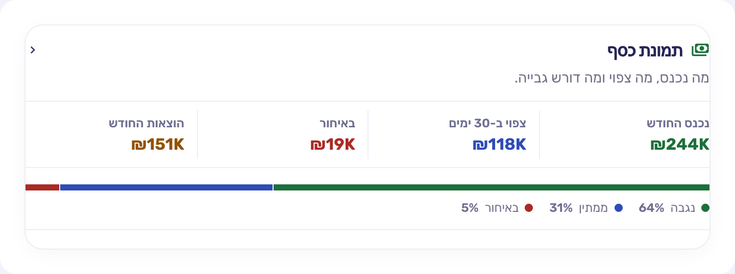 תמונת מצב כספית ב-RBM: נכנס החודש, צפוי ופתוח לגבייה